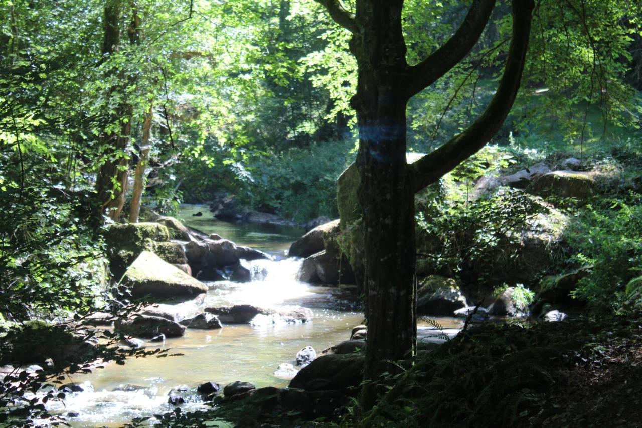 Dans La Creuse Bed & Breakfast Mourioux-Vieilleville ภายนอก รูปภาพ