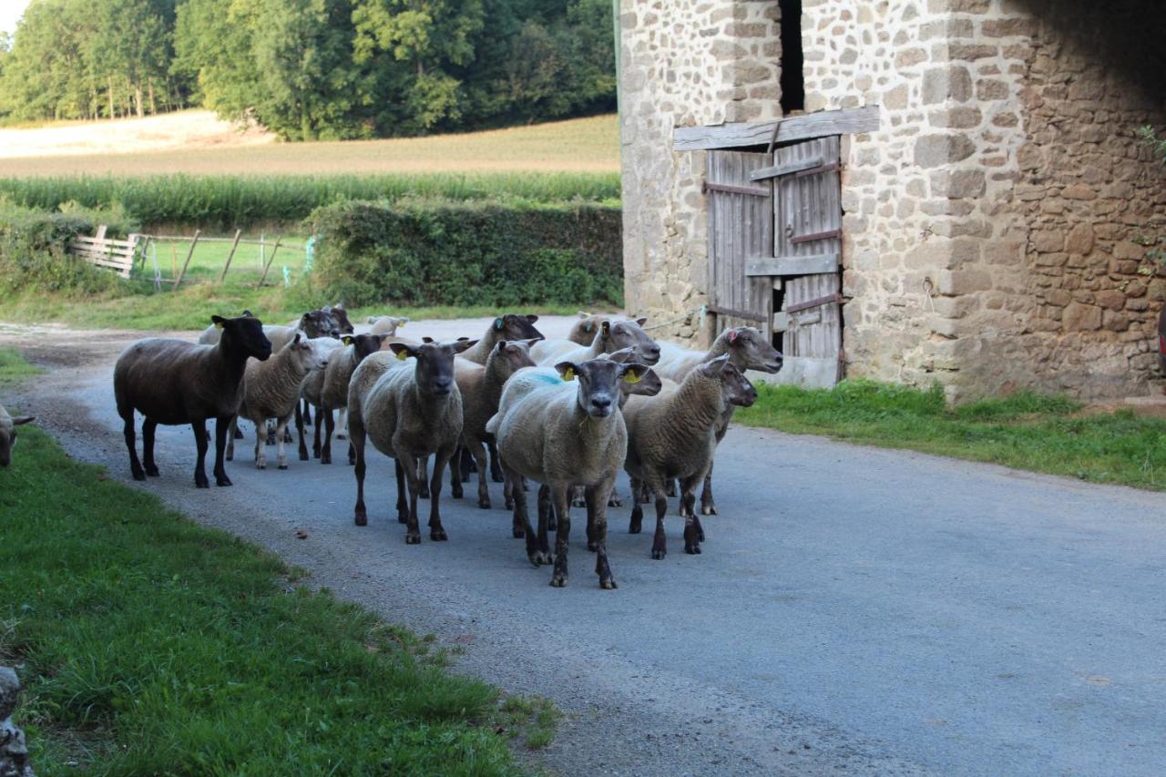 Dans La Creuse Bed & Breakfast Mourioux-Vieilleville ภายนอก รูปภาพ